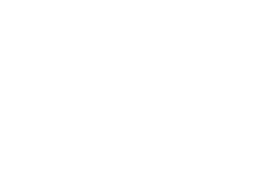 Passenger eVTOL